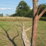 Trace: What Follows