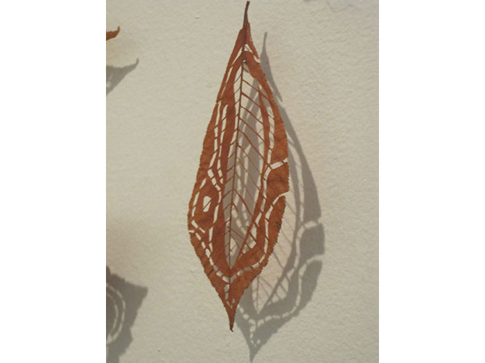 amoebic-leaf-1