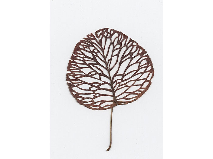 laced-leaf-1