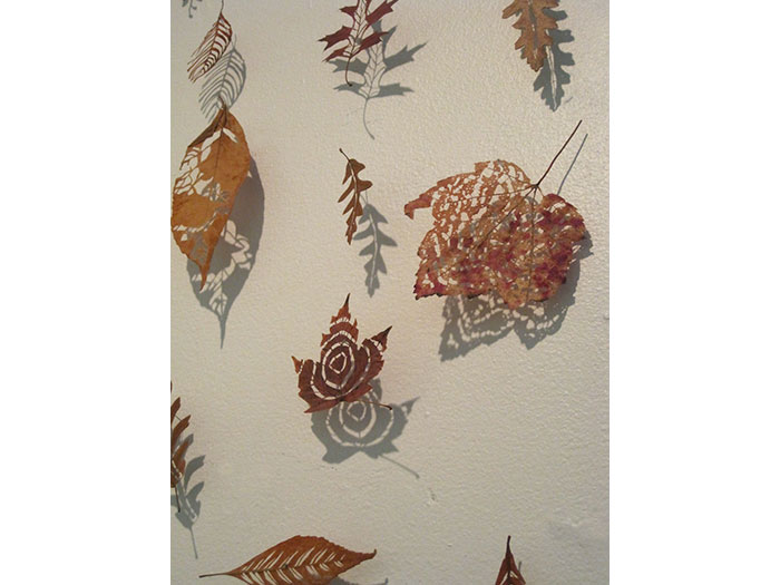 leaf-studies-close-up-1