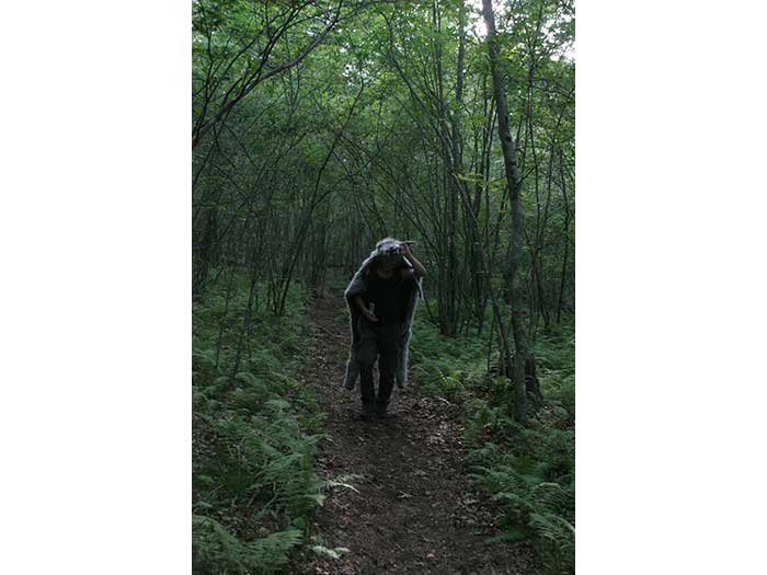 the-hood-wolf-walking-1