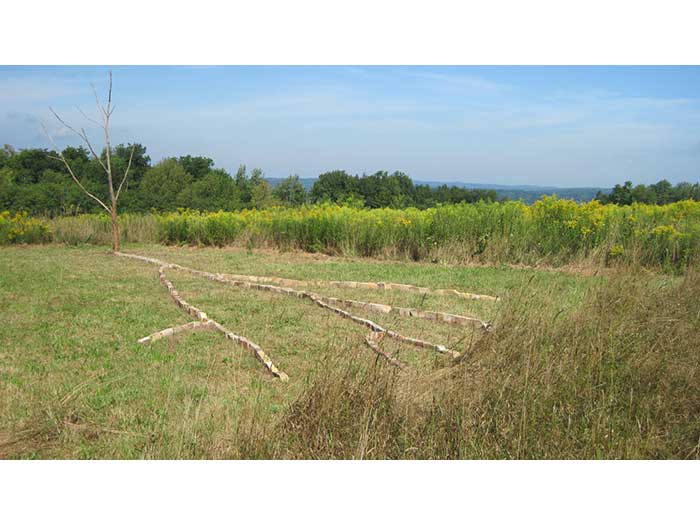 trace-View-to-South-1