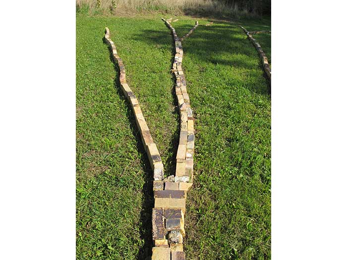 trace-branch-view-1