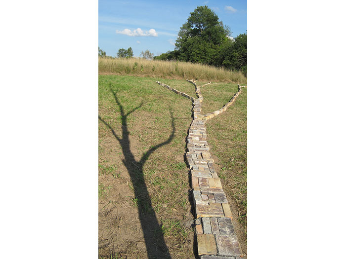 trace-what-follows-detail-with-shadow-1