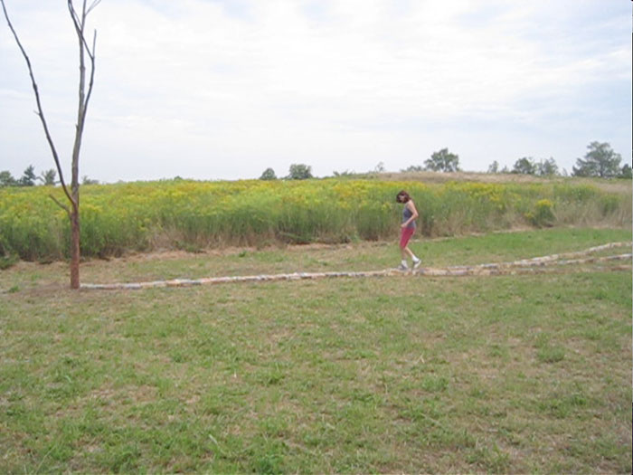 video-still-walkingOnTraces-1