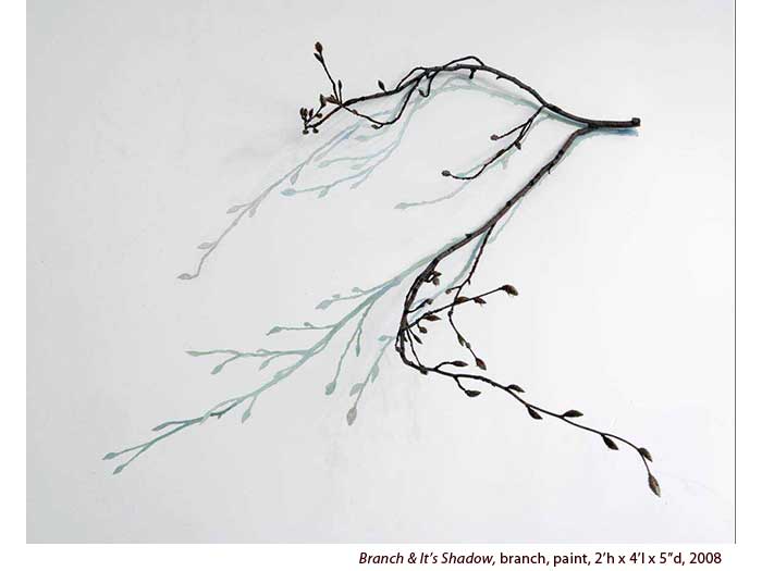 Branch-and-Shadow-2