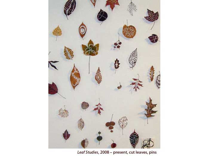 Leaf-Studies-3