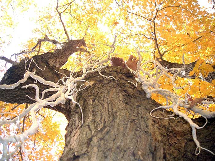 tangled-tale-autumn-1