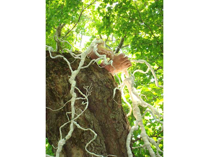 tangled-tale-detail-sized-1