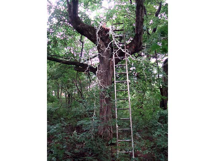 tangled-tale-installation-1