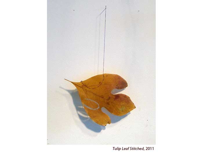tulip-leaf-stitched-2