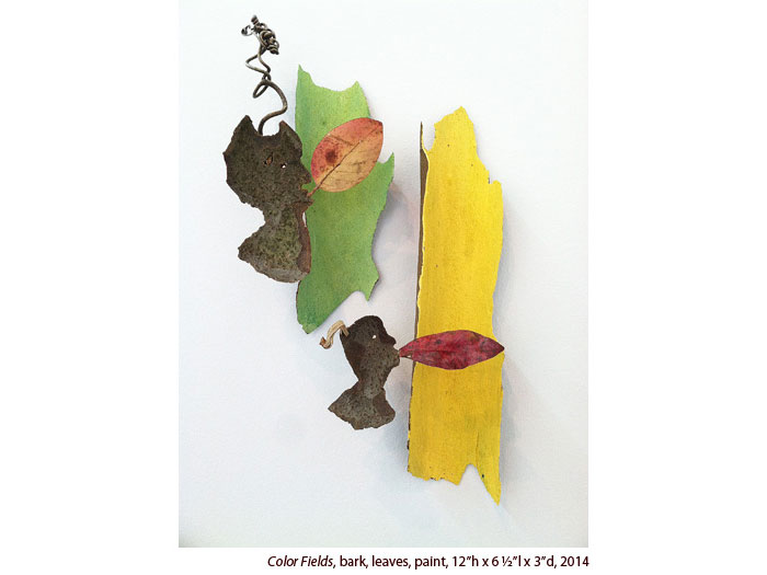 Momm-2014-Color-Fields700