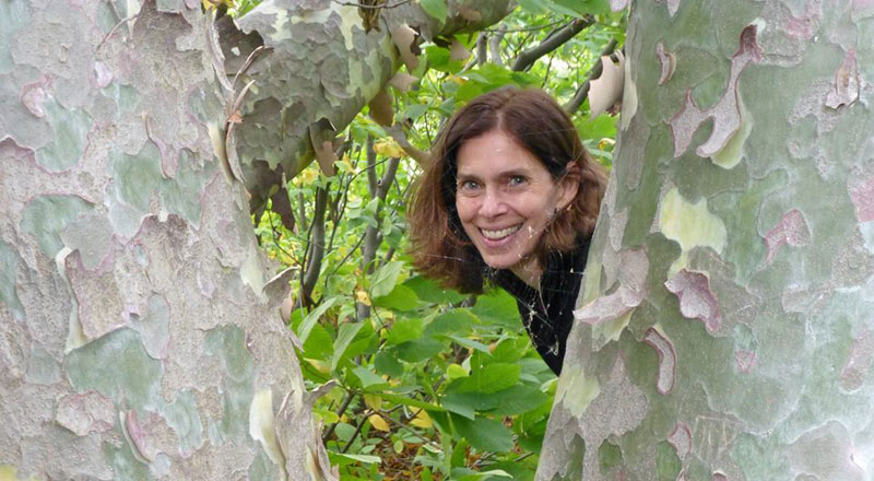 pono-prints-alice-momm