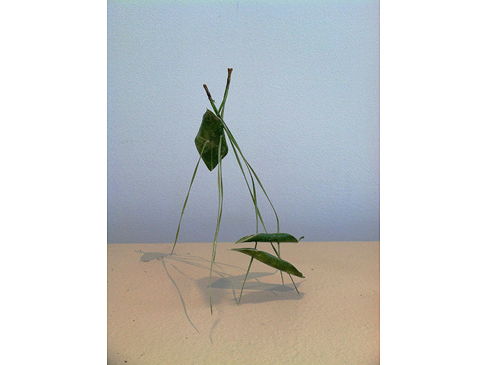 3.monumental-miniature3